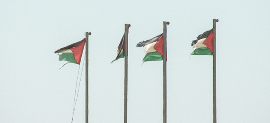 Four Palestinian flags